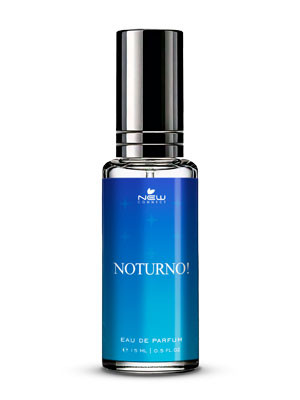 Noturno 15ml: perfume de bolso masculino inspirado no Nightflight