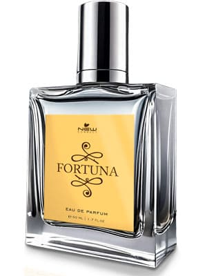 Fortuna 50ml: perfume masculino inspirado no One Million (Ápice Premium)
